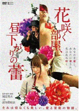 回声岛在线观看-小蜜蜂影院